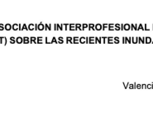 COMUNICADO DE LA ASOCIACIÓN INTERPROFESIONAL DE ORDENACIÓN DEL TERRITORIO (FUNDICOT) SOBRE LAS RECIENTES INUNDACIONES EN ESPAÑA