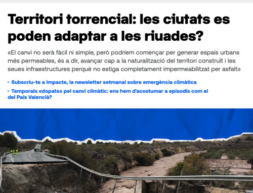 Article: Territori torrencial: les ciutats es poden adaptar a les riuades?